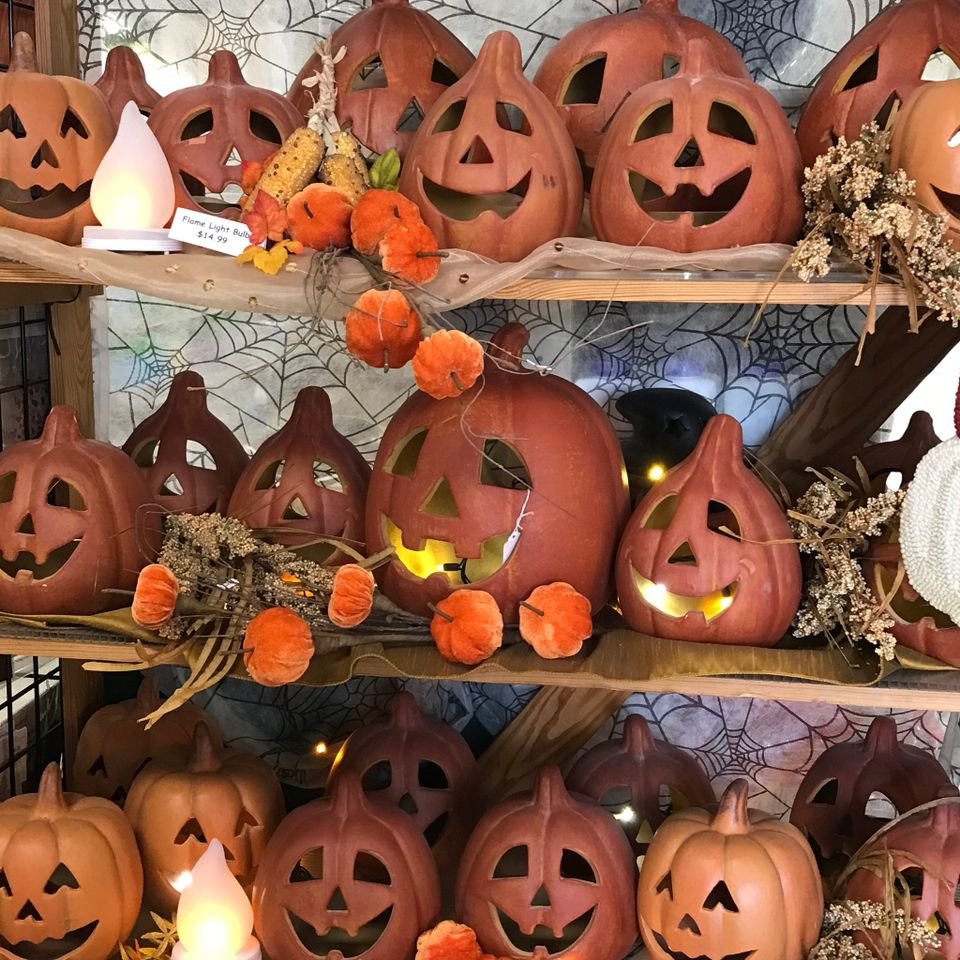 302709318 2835459666597949 3262642750416290038 n