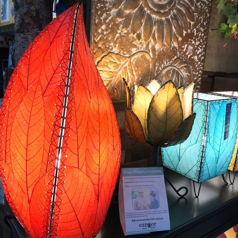 302561149 2835459933264589 8264663236938042845 n