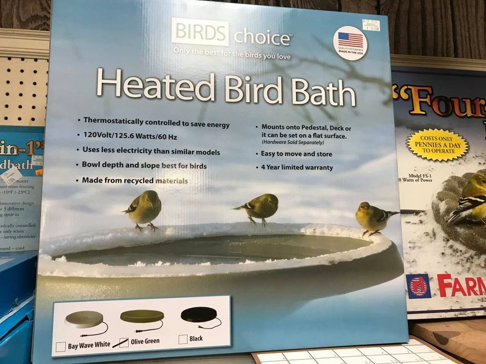 145505328 2330734033737184 8747555147339066337 n